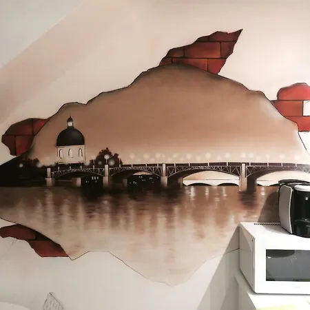 Appartement Studio De Charme -metro Carmes Toulouse